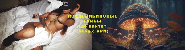 PSILOCYBIN Абинск