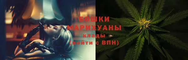 ПСИЛОЦИБИНОВЫЕ ГРИБЫ Абаза