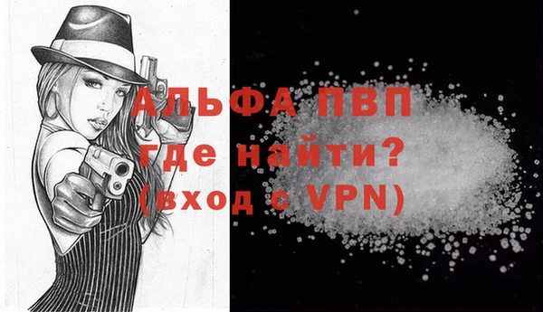 стаф Сатка